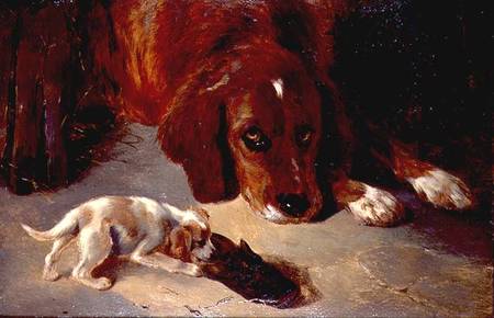 An Inquisitive Puppy (board) von George W. Horlor