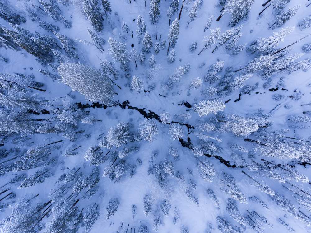 Winter wonderland von Gerald Macua