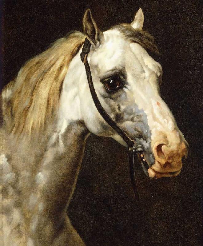 Pferdekopf. von Gericault Theodore
