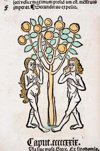 Adam and Eve tree Hortus Sanitatis von German School