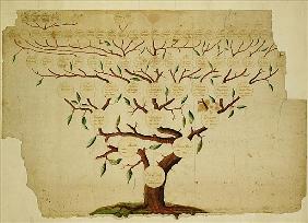 Bach Family Tree, c.1750-1770 (pen and ink and pencil on paper)