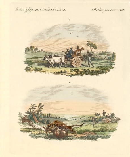 Antelopes hunting with leopards von German School, (19th century)