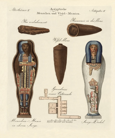 Egyptian mummies von German School, (19th century)