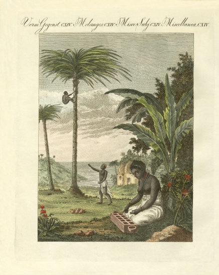 Scenes from Africa von German School, (19th century)