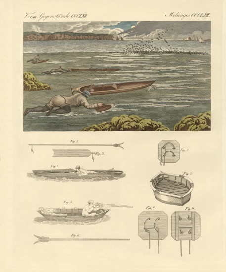 The hunting of waterbirds on the coasts of England von German School, (19th century)