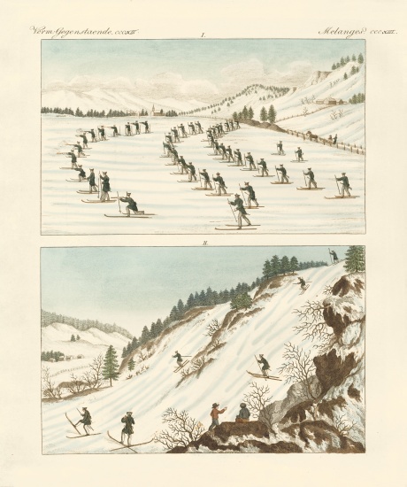 The regiment of skaters in Norway von German School, (19th century)