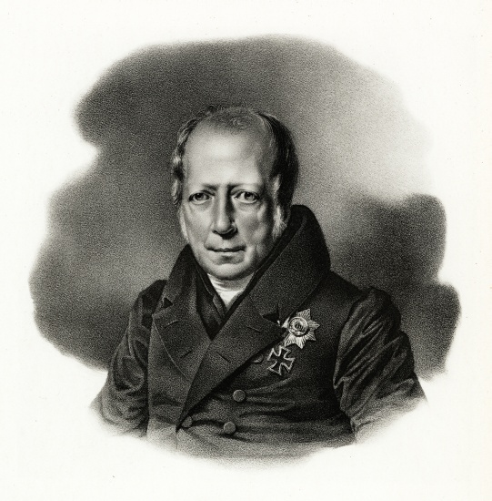 Wilhelm von Humboldt von German School, (19th century)
