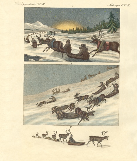 Winter trips in Lapland von German School, (19th century)