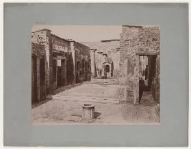 Pompei: Casa del Poeta tragico, No. 5056