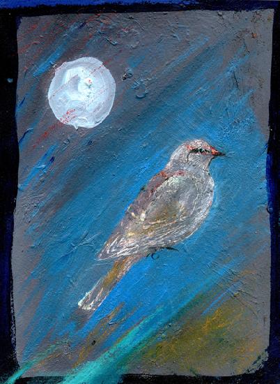 Moon Bird 2016