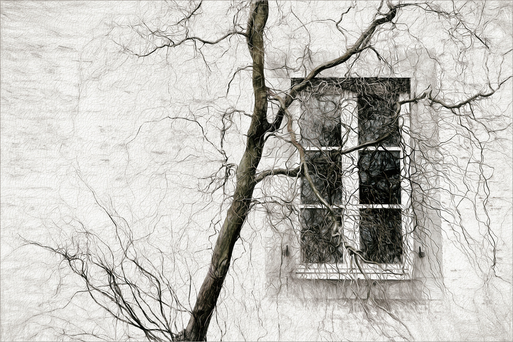 verschleiertes Fenster von Gilbert Claes