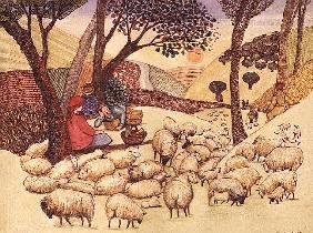 A Picnic Amongst the Sheep 