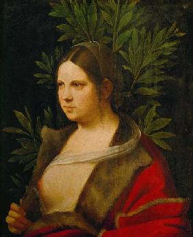 Bildnis einer jungen Frau (Petrarca's Laura) 1506