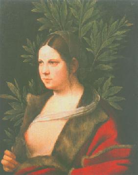 Portrait einer Frau ( Laura ) 1506