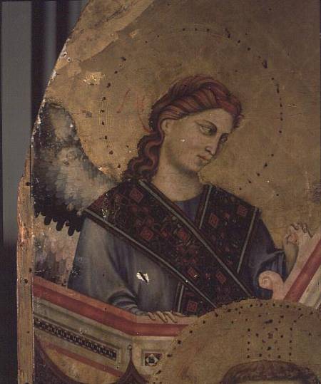 Angel from Madonna and Child Enthroned (detail of 66535)  (altarpiece) von Giotto (di Bondone)