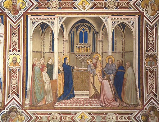 Die Darbringung im Tempel von Giotto (di Bondone)