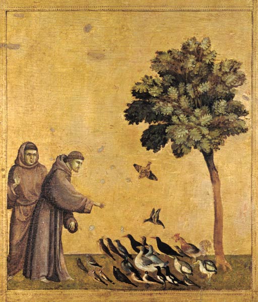 St. Francis of Assisi preaching to the birds von Giotto (di Bondone)