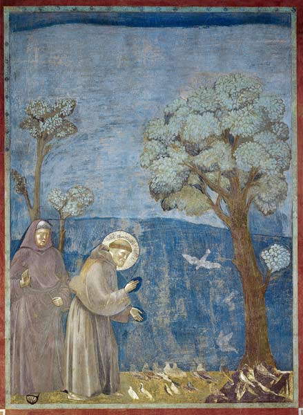 St. Francis Preaching to the Birds von Giotto (di Bondone)