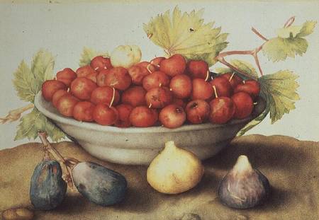 A Bowl of Cherries and Figs von Giovanna Garzoni