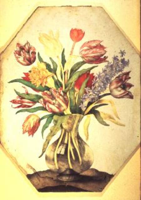 Glass Vase of Tulips with a Hyacinth von Giovanna Garzoni