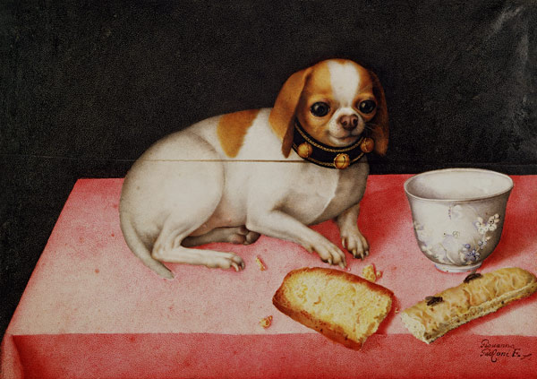little dog wit scraps of bread von Giovanna Garzoni