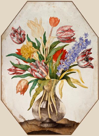 Tulpen und Hyazinthe