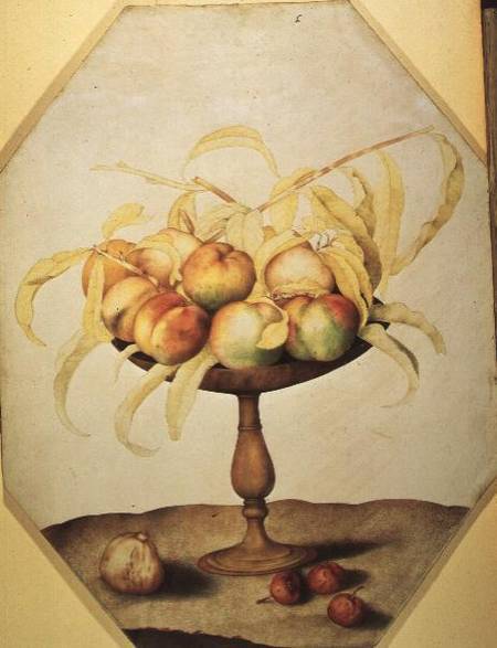 Wooden Fruit Bowl of Apples von Giovanna Garzoni