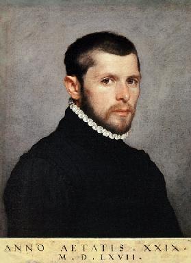 Porträt des jungen Mannes 1567