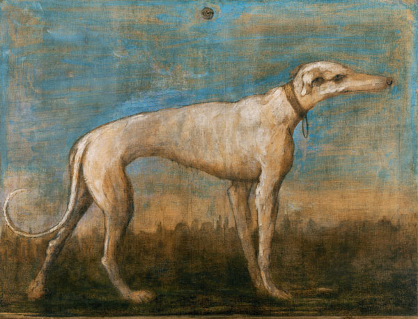 Windhund von Giovanni Battista Tiepolo