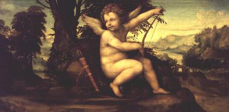 Cupid in a Landscape von Giovanni Bazzi Sodoma