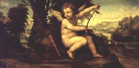 Cupid in a Landscape c.1510