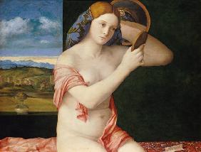 Junge Frau bei der Toilette 1515