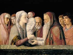 Bellini, Darstellung Jesu im Tempel 1470/80