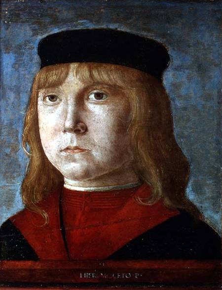 Portrait of a Boy von Girolamo Mocetto