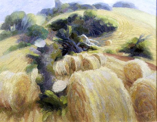Harvest, 1995 (oil on canvas)  von Glyn  Morgan