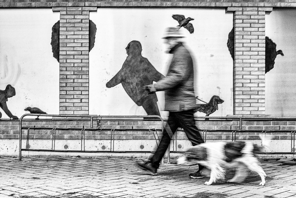 Hundeführer von Goran Johansson