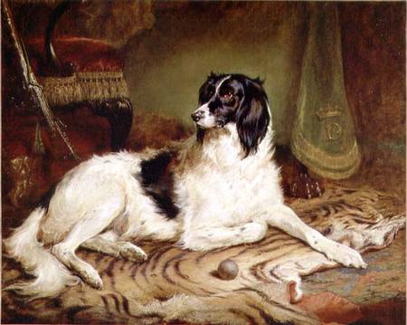'Minna', a favourite dog of James, Marquess of Dalhousie von Gourlay Steell