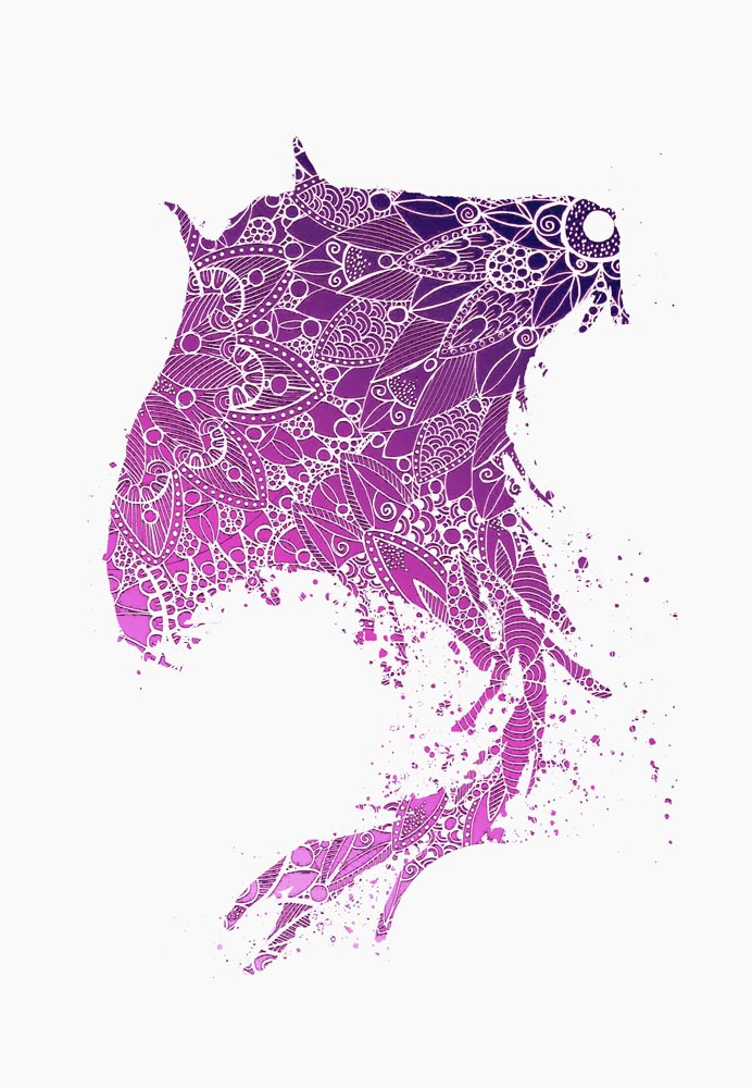 Purple Mandala Manta Ray Silhouette von Sebastian  Grafmann