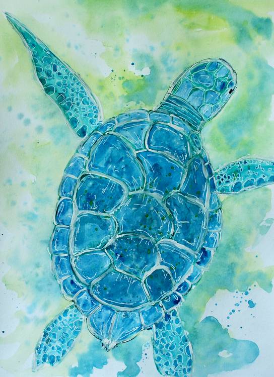 Blue Sea Turtle von Sebastian  Grafmann