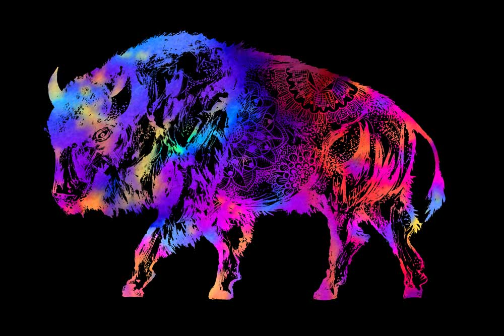 Rainbow Buffalo von Sebastian  Grafmann