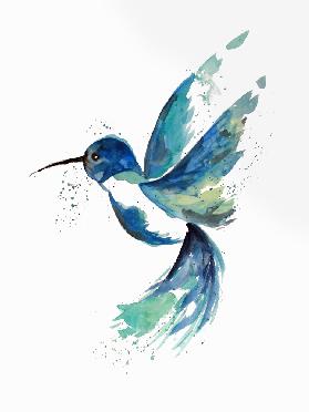 Blue Hummingbird 2019