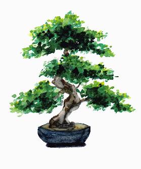 Japanese Watercolor Bonsai Tree 2020