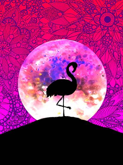 Flamingo Mond Hügel 2022