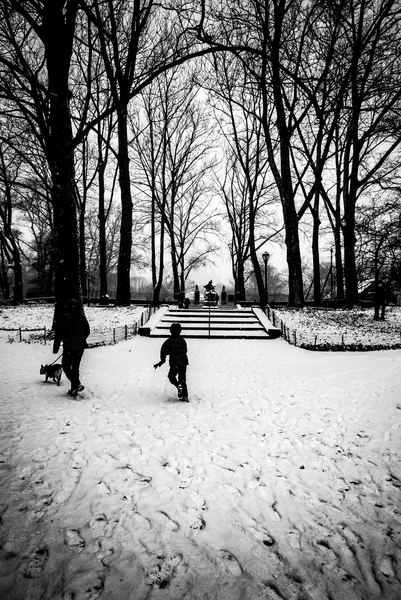 Central Park Steps von Guilherme Pontes