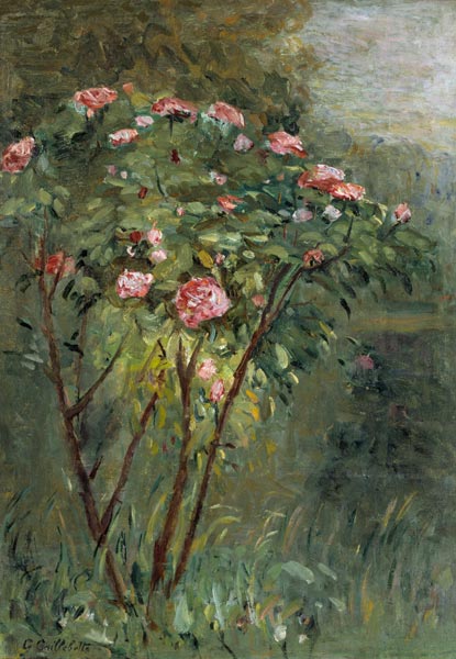 Der Rosenstrauch von Gustave Caillebotte