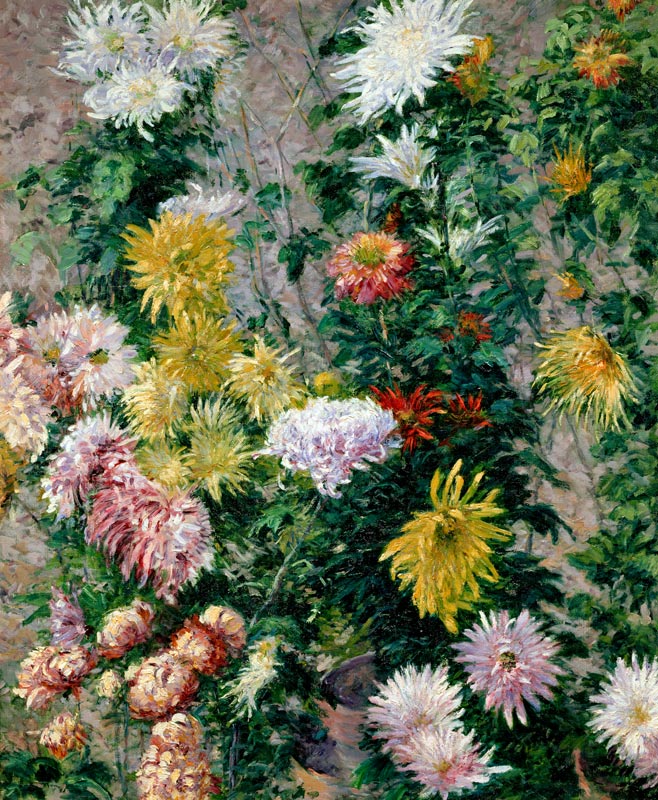 White and Yellow Chrysanthemums von Gustave Caillebotte