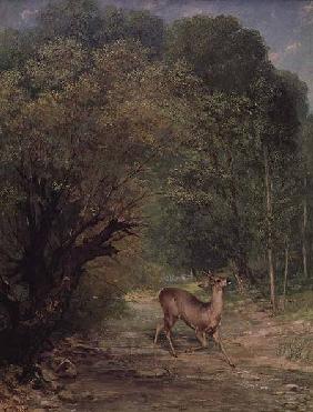 The Hunted Roe-Deer on the alert, Spring 1867