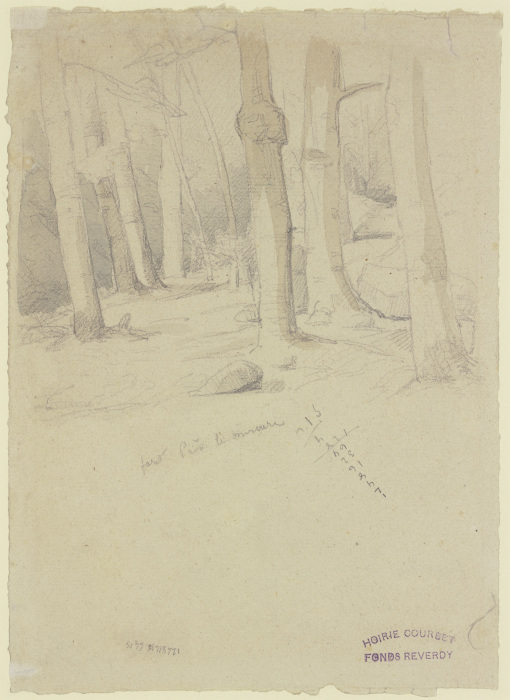 Waldinneres, nahe dem Merkur bei Baden-Baden von Gustave Courbet