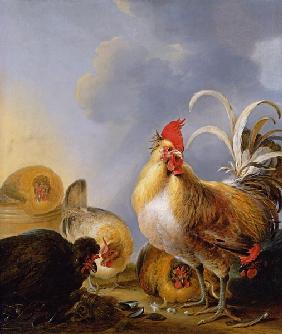 A Group of Farmyard Fowl 1643