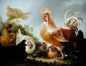 Cockerel and hens in a landscape 1649